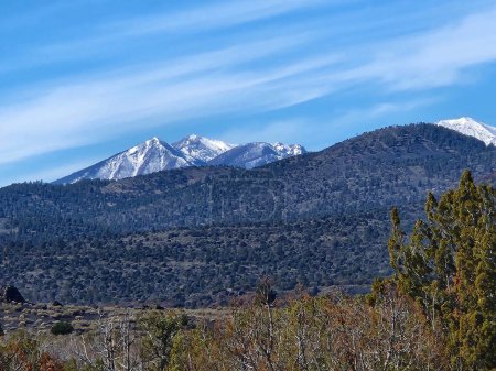 Photo for This photo showcases the scenic view of Mount Humphreys, the highest peak in Arizona. The mountain is covered in snow and surrounded by a forest of pine trees. - Royalty Free Image