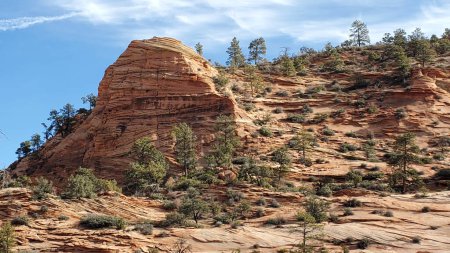 Photo for Rugged beauty of Zion National Park, with a red rock cliff face and trees growing on the side. The blue sky and green trees contrast with the orange sandstone, creating a stunning landscape. - Royalty Free Image