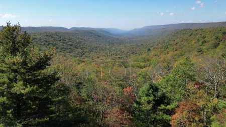 Photo for This photo captures the stunning view of the New Lancaster Valley overlook in the Bald Eagle State Forest, Pennsylvania. The autumn colors create a vivid contrast with the blue sky and the distant mountains. - Royalty Free Image