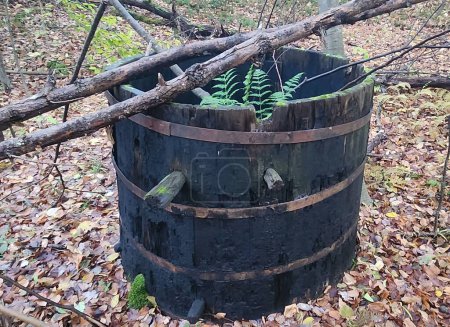 Photo for Forgotten Wooden Oil Collection Cask - An old, weathered wooden oil collection cask sits forgotten in the autumn forest, slowly being reclaimed by nature. - Royalty Free Image