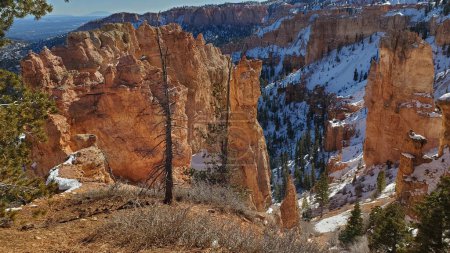 Photo for A stunning panoramic view of Bryce Canyon National Park in Utah, USA, with snow-covered hoodoos and cliffs in the winter. - Royalty Free Image