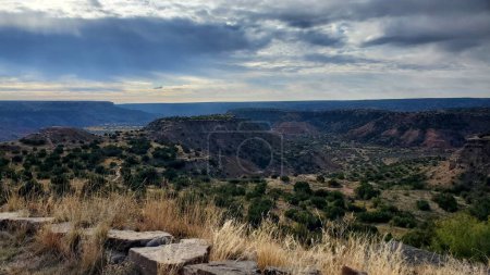 Photo for Palo Duro Canyon Vista reveals a vibrant landscape, where nature paints with a palette of rich reds, deep greens, and golden yellows. - Royalty Free Image