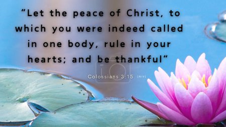 Téléchargez les photos : Verset biblique Colossiens 3 : 15 - Que la paix de Christ règne dans vos cœurs, puisque vous avez été appelés à la paix en tant que membres d'un seul corps. Et soyez reconnaissants - en image libre de droit