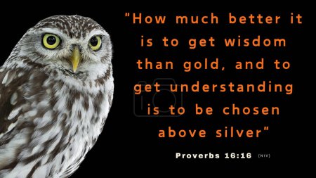 Téléchargez les photos : Versets de la Bible Proverbes 16 : 16 - Combien mieux vaut obtenir la sagesse que l'or, obtenir la perspicacité plutôt que l'argent ! Un hibou sage au premier plan avec le verset de la Bible - en image libre de droit
