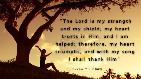 Vers Psalm 28: 7 - Der HERR ist meine Stärke und mein Schild; mein Herz vertraut auf ihn, und mir wird geholfen; darum freut sich mein Herz sehr, und mit meinem Lied will ich ihn preisen..