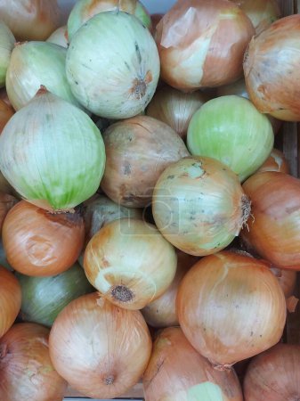 Foto de Cebolla fresca en el mercado - Imagen libre de derechos