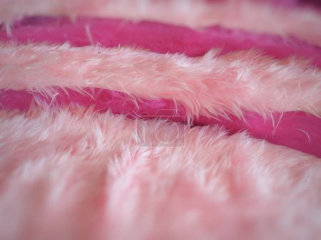Foto de Hermosas plumas de color rosa en forma de gato - Imagen libre de derechos