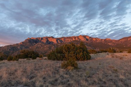 Sandia Mountains at sunset as seen from the foothills of Albuquerque, New Mexico, pink mountains, landscape, southwest