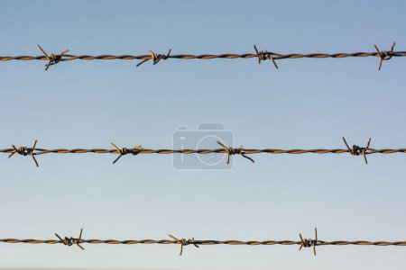 Téléchargez les photos : Une clôture en fil de fer barbelé avec un fond bleu pâle, trois fils de fer barbelés s'étendant horizontalement sur l'image, avec la lumière du soleil mettant en évidence les fils. - en image libre de droit