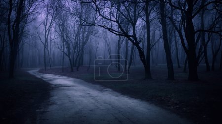 Spooky Foggy Forest Path la nuit