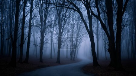 Mystérieuse route forestière sombre et broussailleuse avec silhouettes d'arbres
