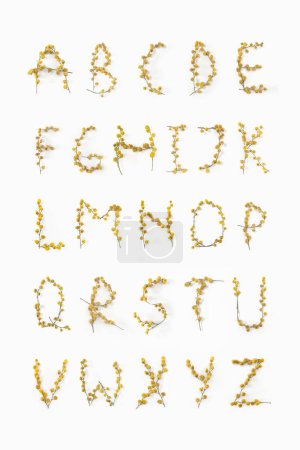 Blumenbrief. Alphabet aus Blumen Mimose gelb. Blumenbuchstaben-Layout. Flach lag er. Ansicht von oben. Plakatgestaltung