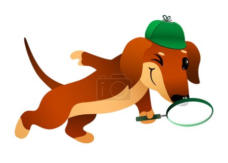 Illustration for Cute cartoon detective dachshund dog looking for items with a magnifying glass on white background. funny animal in search . vector cartoon character illustration. - Royalty Free Image