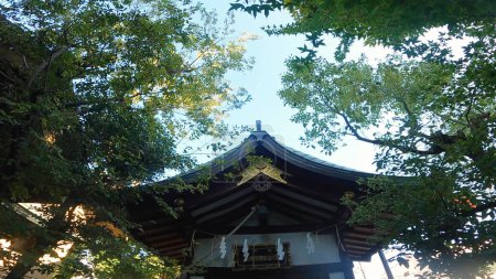Téléchargez les photos : Sanctuaire Atsuta petit sanctuaire Toyokawa toit Inari Japon, Tokyo, Asakusa, ImadoShrine petit sanctuaire Temple Ododo en bois blanc - en image libre de droit