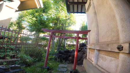 Téléchargez les photos : Sanctuaire Torii rouge Sanctuaire Inari Fujizuka Lava - en image libre de droit