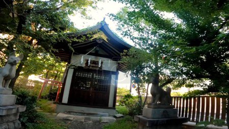 Téléchargez les photos : Sanctuaire Atsuta petit sanctuaire Toyokawa toit Inari Japon, Tokyo, Asakusa, ImadoShrine petit sanctuaire Temple Ododo en bois blanc - en image libre de droit