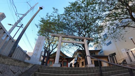 Téléchargez les photos : Torii Arbre sacré Escaliers Asakusa Sengen Temple bâtiment principalUn sanctuaire qui se trouve à l'intersection d'Asakusa, Tokyo, Japon. Sanctuaire Mt. Fuji ! - en image libre de droit