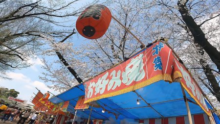 Foto de Puesto de comida okonomiyaki flores de cerezo flor de cerezo festival de visualización fairThe enfoque a Ueno Toshogu Shrine in Ueno Park, Tokyo, Japan - Imagen libre de derechos