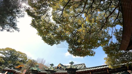 Photo for Ueno Toshogu shrine building blue sky roof clouds UenoThe approach to Ueno Toshogu Shrine in Ueno Park, Tokyo, Japan - Royalty Free Image