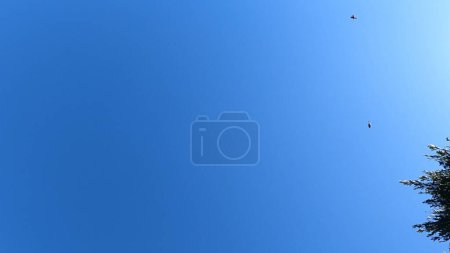 Photo for Winter blue sky blue sky clouds clouds sky blue - Royalty Free Image