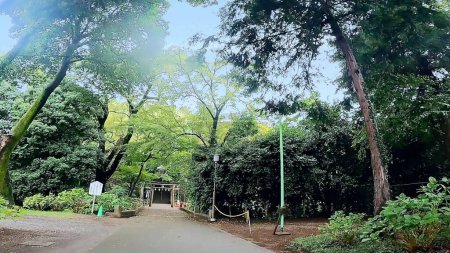 Foto de El Santuario Senba Toshogu se encuentra en Kosenba-cho, Kawagoe City, Prefectura de Saitama, Japón. Es uno de los tres principales santuarios de Toshogu en Japón junto con Nikko y Kunouzan. En 1616, cuando el Shogun Tokugawa Ieyasu murió y fue enterrado en el monte. Nikko, un mem - Imagen libre de derechos