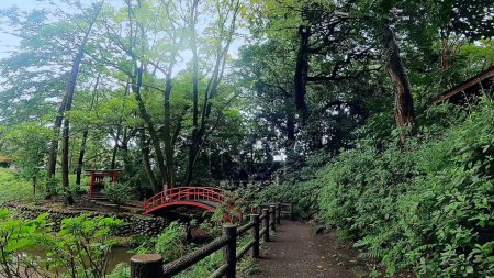 Foto de Un pequeño jardín japonés en Kita-in Temple, Kawagoe Daishi, Kawagoe City, Prefectura de Saitama, Japón. Un pequeño dios está consagrado en el centro. - Imagen libre de derechos