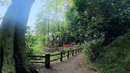 Photo for A small Japanese garden in Kita-in Temple, Kawagoe Daishi, Kawagoe City, Saitama Prefecture, Japan. A small god is enshrined in the center. - Royalty Free Image