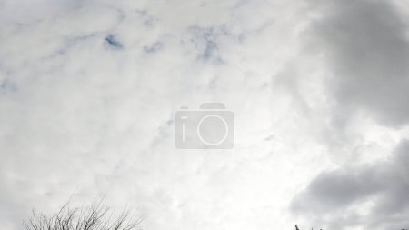 Photo for Winter sky cloudy sky white cloud thick cloud winter sky cloud - Royalty Free Image