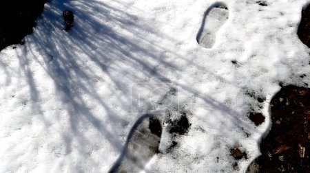 Schnee mit Fußabdrücken Schnee Schnee Fußabdrücke Schnee Morgen