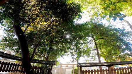 Sanctuaire Sarutahiko Sanctuaire Mototenuma Inari Un petit sanctuaire apparaît soudainement dans un quartier résidentiel de Mototenuma, Suginami-ku, Tokyo.It était probablement entouré de bois et de rizières dans le passé.