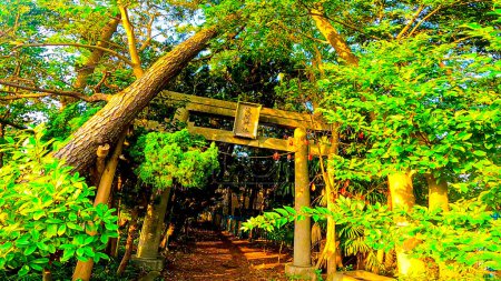 Le sanctuaire Shinozaki Sengen est situé dans le quartier d'Edogawa, Tokyo, Japon.Le plus ancien sanctuaire du quartier d'Edogawa, fondé le 15 mai 938https : / / youtu.be / QI4yTy _ biys