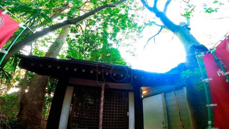 Shinozaki Sengen Shrine se encuentra en Edogawa Ward, Tokio, Japón.El santuario más antiguo en Edogawa Ward, fundado el 15 de mayo de 938https: / / youtu.be / QI4yTy _ biys