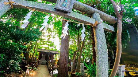 Le sanctuaire Shinozaki Sengen est situé dans le quartier d'Edogawa, Tokyo, Japon.Le plus ancien sanctuaire du quartier d'Edogawa, fondé le 15 mai 938https : / / youtu.be / QI4yTy _ biys