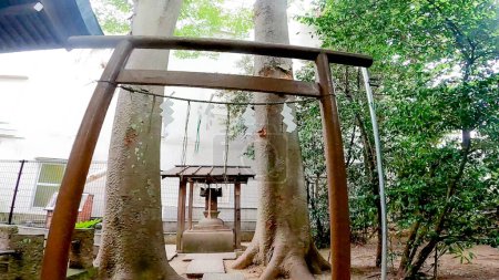 Koiwa Shrine, Higashikoiwa Shrine, Edogawa-ku, Tokyo, JapanHe was already highly revered in 1536.https://youtu.be/iuMnFlMoqic