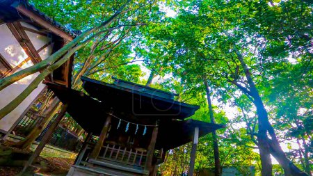 Santuario Shinozaki Sengen en Edogawa Ward, Tokio, JapónEl santuario más antiguo en Edogawa Ward, fundado el 15 de mayo de 938.https: / / youtu.be / QI4yTy _ biys