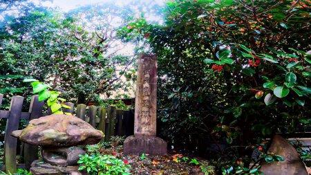 Sanctuaire Ana Hachimangu à Nishiwaseda, Tokyo, Japon. Sanctuaire près de Waseda Universityhttps : / / youtu.be / wpqPiOWb6QY
