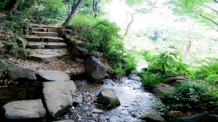Kansenen Park, Nishiwaseda, Shinjuku, Tokio, JapónUn viejo jardín que data del período Edo. El nombre proviene del hecho de que hay agua de manantial, y el agua clara va bien con el té. En la antigüedad, era la residencia de los Shimizu