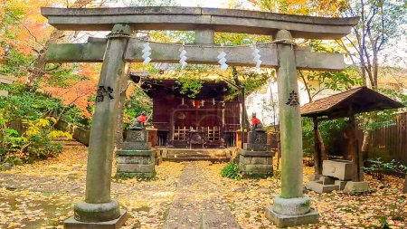 Akasaka Hikawa Shrine, ein Schrein in Minato Ward, Tokio, JapanAkasaka ist eine ruhige Luxuswohngegend. Die Geschichte geht auf das Jahr 951 zurück, als ein Mönch, der im östlichen Teil Japans unterwegs war, in dieser Gegend übernachtete.