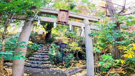 Akasaka Hikawa Shrine, un santuario en Minato Ward, Tokio, JapónAkasaka es una tranquila zona residencial de lujo. La historia se remonta a 951, cuando un monje que viajaba por la parte oriental de Japón pasó la noche en esta área https: / / youtu.be / AaNe8l1wIS8