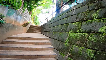 Escaleras rodeadas de muros de piedra que conducen a la vegetación fresca