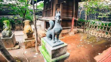 Guardian dog Shibuya Hikawa Shrine, a shrine in Higashi 2-chome, Shibuya-ku, Tokio, JapónSu origen es muy antiguo, y según el "Hikawa Daimyojin Hosenji Temple Engi" escrito en 1980, durante el reinado del emperador Keiko, cuando el príncipe de Japón