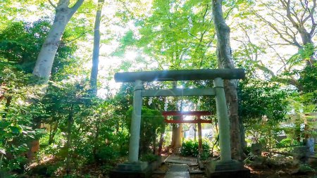 Ein kleiner Schrein innerhalb des Bezirks Hikawadai Hikawa Shrine.Hikawadai Hikawa Shrine, ein Schrein in Hikawadai, Bezirk Nerima, Tokio, Japan.https: / / youtu.be / qL8HXG9 _ Xfc