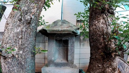A small shrine and a large tree in the precincts of Nakahara Hachiman Shrine.Nakahara Hachiman Shrine is a shrine located in Aoto, Katsushika Ward, Tokyo, Japan.