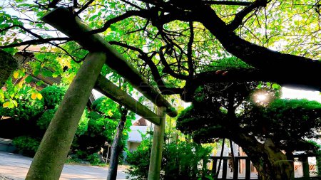 Schrein torii bei klarem Himmel Tsukuda Sumiyoshi Schrein. Sumiyoshi Schrein, ein Schrein in Tsukuda, Chuo-ku, Tokio, Japan