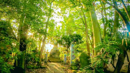 Precintos del Santuario Shinozaki Sengen, Edogawa Ward.Shinozaki Sengen Shrine en Edogawa Ward, Tokio, JapónEl santuario más antiguo de Edogawa Ward, fundado el 15 de mayo de 938.La foto pertenece al distrito de shrine.https: / / youtu.be / QI4yTy _ biys
