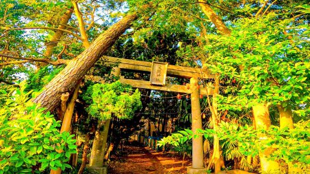 Torii on the approach to Shinozaki Sengen Shrine, Edogawa Ward.Shinozaki Sengen Shrine in Edogawa Ward, Tokyo, JapónThe oldest shrine in Edogawa Ward, founded on May 15, 938.https: / / youtu.be / QI4yTy _ biys