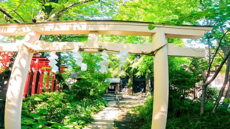 Un pequeño santuario en el bosque guardián, Wakamiya Hachimangu Shrine en la ciudad de Kawasaki
