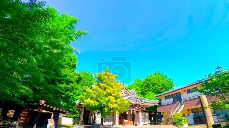 A shrine amidst fresh greenery: Wakamiya Hachimangu Shrine in Kawasaki City