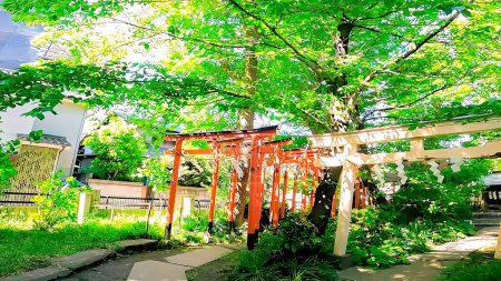 The red torii gate of the shrine, Inari Shrine of Wakamiya Hachimangu Shrine