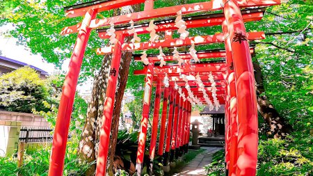 The red torii gate of the shrine, Inari Shrine of Wakamiya Hachimangu Shrine
